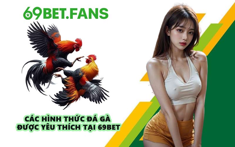 Các hình thức đá gà được yêu thích tại 69BET