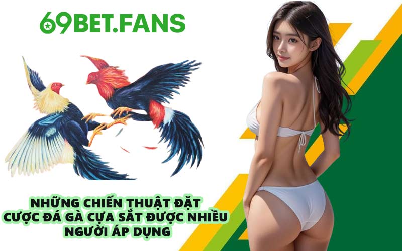 Những chiến thuật đặt cược đá gà cựa sắt được nhiều người áp dụng