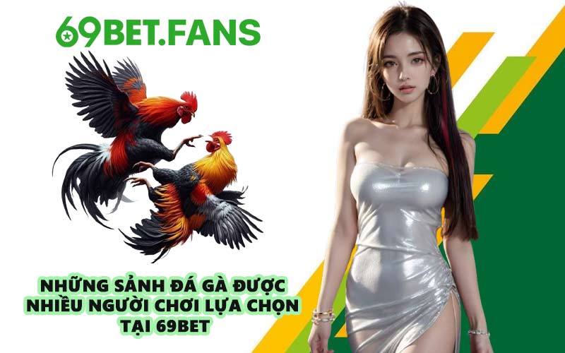 Những sảnh đá gà được nhiều người chơi lựa chọn tại 69BET