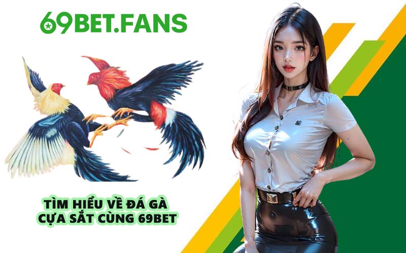 Tìm hiểu về đá gà cựa sắt cùng 69BET